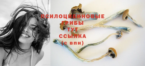 мескалин Аркадак