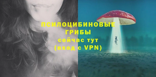 дурь Арсеньев