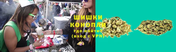дурь Арсеньев