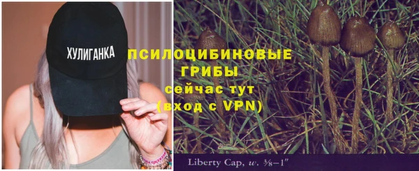 дурь Арсеньев