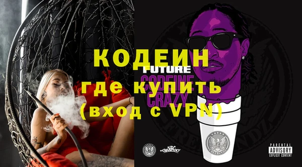 дурь Арсеньев