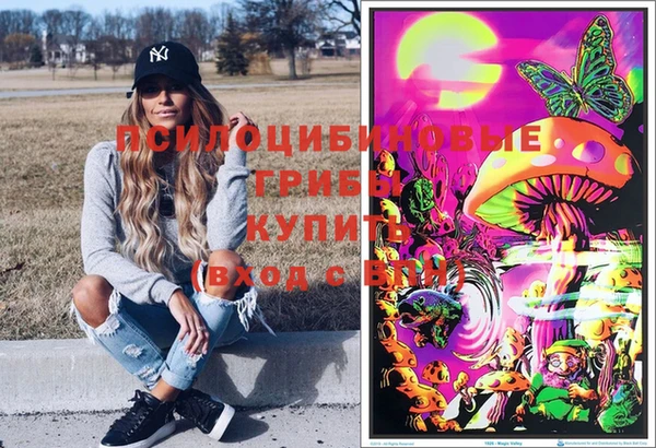 гидра Армянск