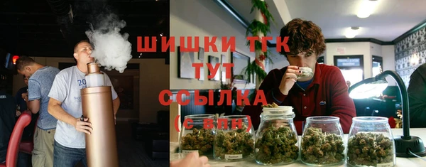 дурь Арсеньев